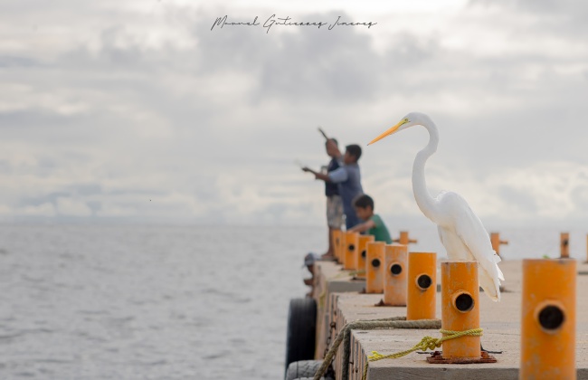 foto:Manuel Alejandro Gutiérrez Jiménez  - lo hecho en México