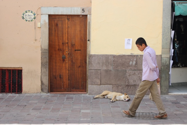 foto:Berenice Ontiveros Tovar  - lo hecho en México