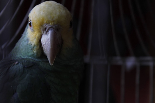 foto:Geovana Alejandra Brito Vega  - lo hecho en México