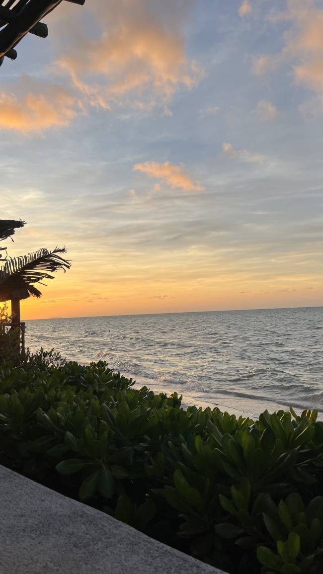 foto:Raul rafael campos Escalante   - lo hecho en México