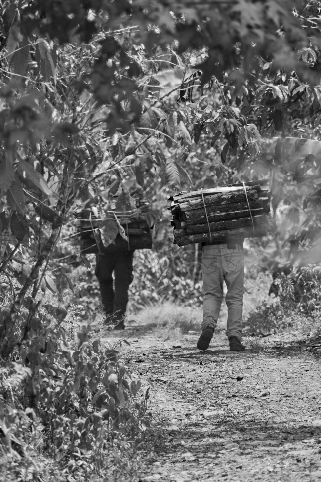 foto:Eric Ronaldo Avella Jiménez   - lo hecho en México