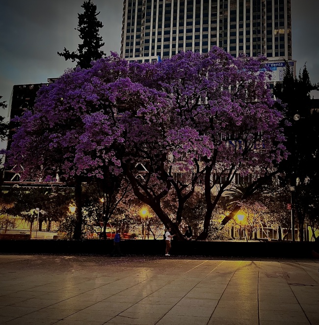 foto:Daniel Adrian Perez Cruz - lo hecho en México