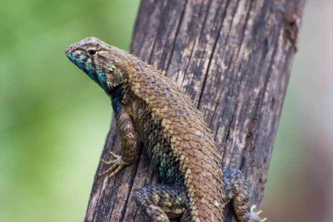 foto:José Javier Barrios Flores - lo hecho en México