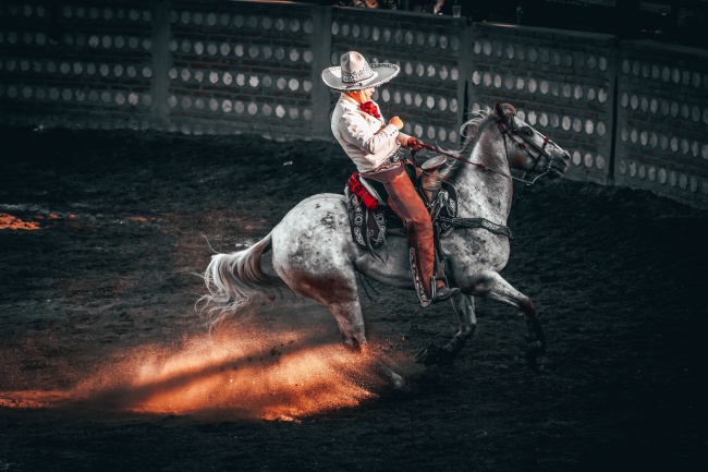 foto:Salvador Valenzuela Chávez   - lo hecho en México