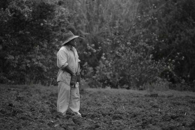 foto:Adrián Ortega Iturriaga  - lo hecho en México