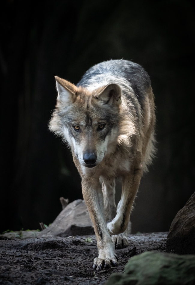 foto:Eduardo Melman Hernández  - lo hecho en México