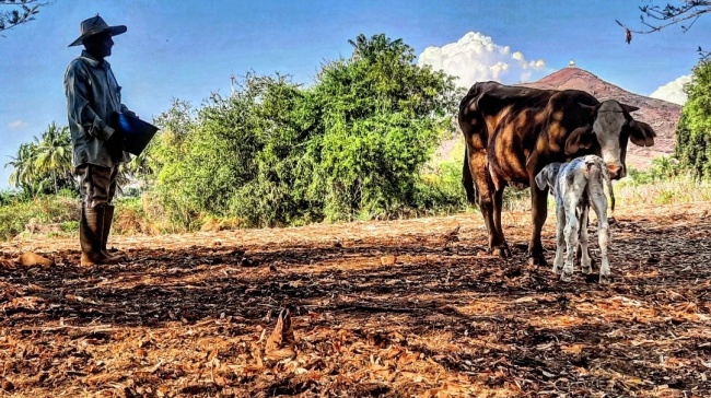 foto:Abraham Aguilar Granados  - lo hecho en México