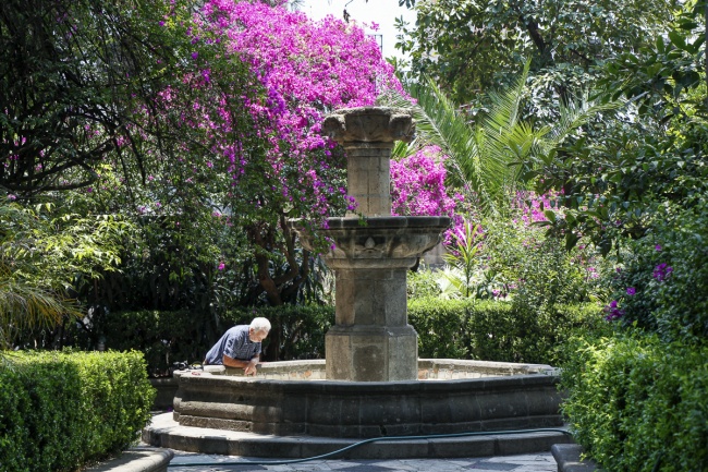 foto:Amelia Bolland  - lo hecho en México