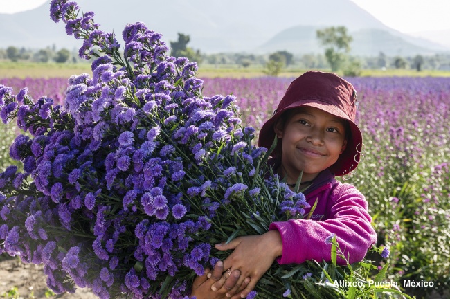 foto:María Eugenia Bores Rangel  - lo hecho en México