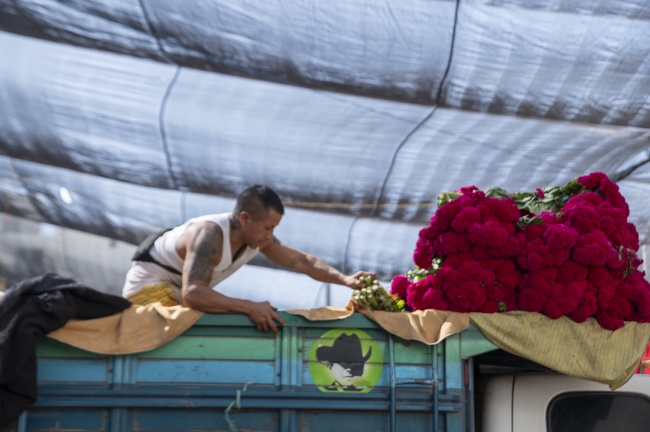 foto:Francesca Ritchey Chaivet  - lo hecho en México