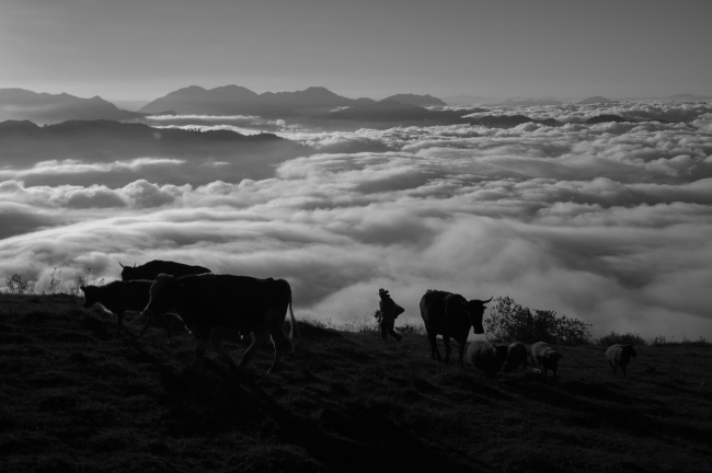 foto:Eduardo Molina Ramiro  - lo hecho en México