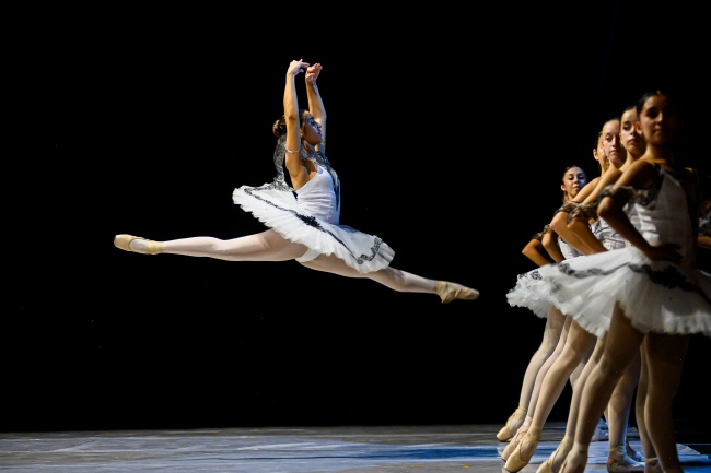 foto:Francisco Gallardo Jiménez  - lo hecho en México