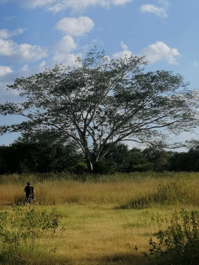 foto:Martha Novelo Ramos  - lo hecho en México