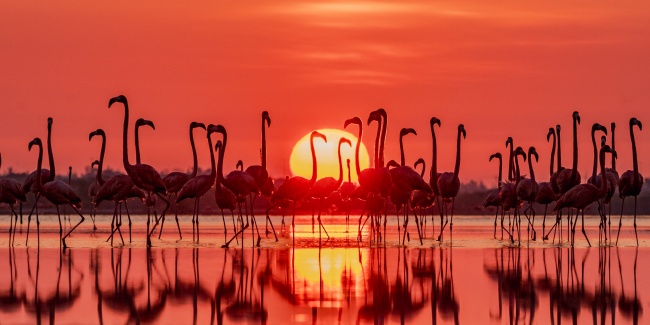 foto:Miguel Alejandro Díaz Pérez  - lo hecho en México