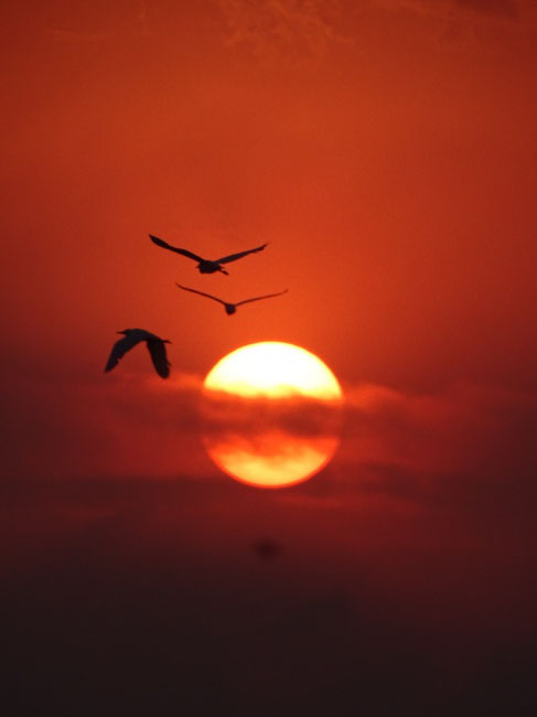 foto:Angel Javier Flores Loeza   - lo hecho en México