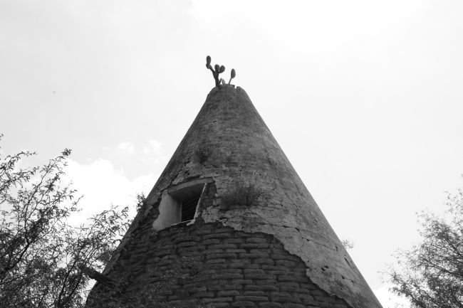 foto:Andrea Tapia  - lo hecho en México