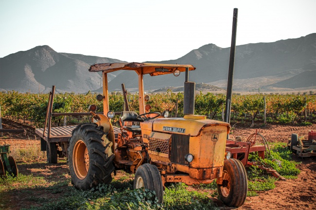foto:Victor Efraín Corona Maldonado  - lo hecho en México