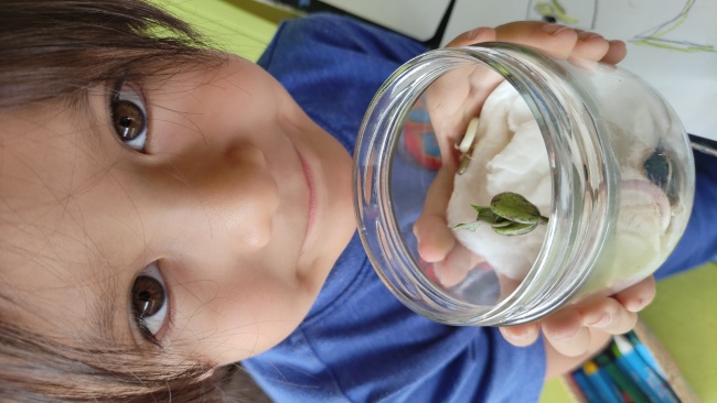 foto:Nicthé Hernández Castañon  - lo hecho en México