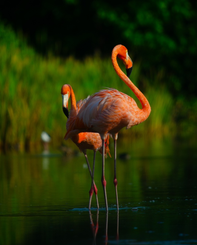 foto:Ethan Castrejon Pulido   - lo hecho en México