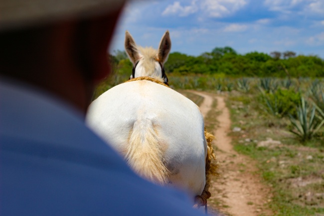 foto:Erick Carrera Ramirez  - lo hecho en México
