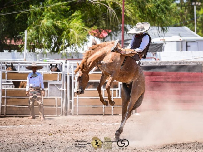 foto:Aída Lorena del Carmen Gutiérrez González  - lo hecho en México