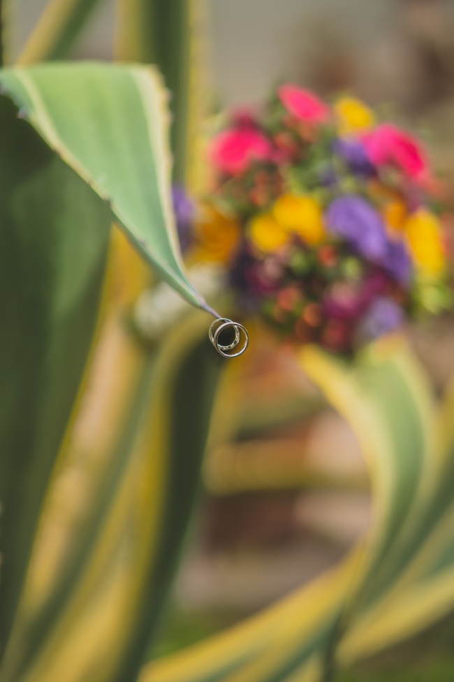 foto:Ramiro Loyola Pacheco  - lo hecho en México