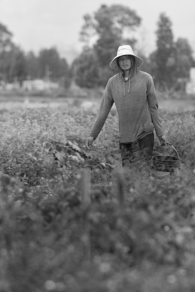 foto:Jorge Alberto Diaz VIlleda  - lo hecho en México