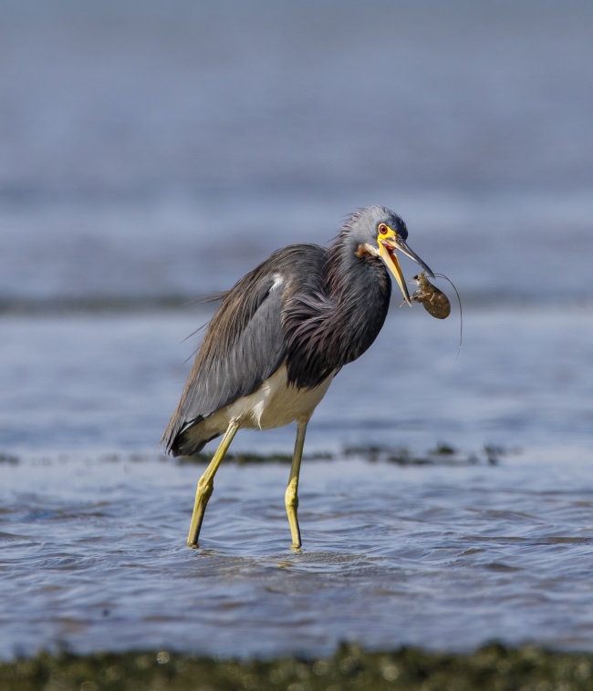 foto:Paola Ruffo Ruffo  - lo hecho en México