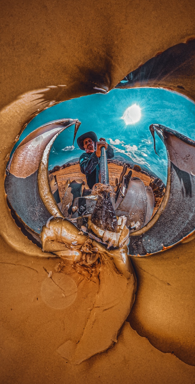 foto:Luis Armando Cardoso Osorio   - lo hecho en México