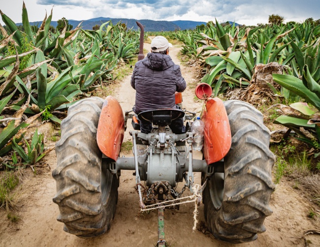 foto:Jose Santos Salas Benavides  - lo hecho en México