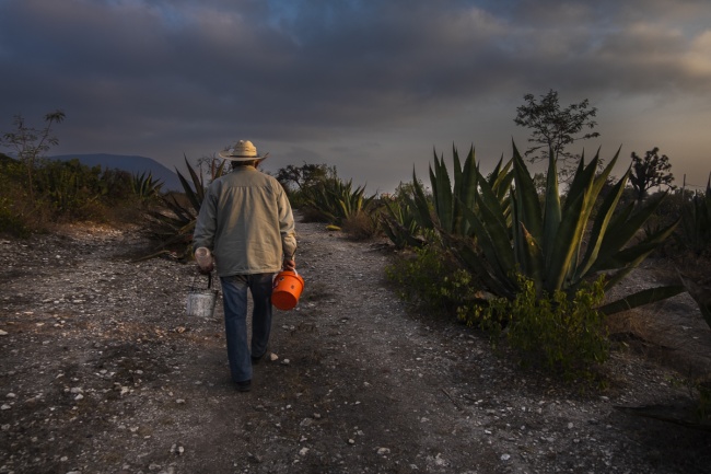 foto:Irlanda Mariel Serrano García   - lo hecho en México