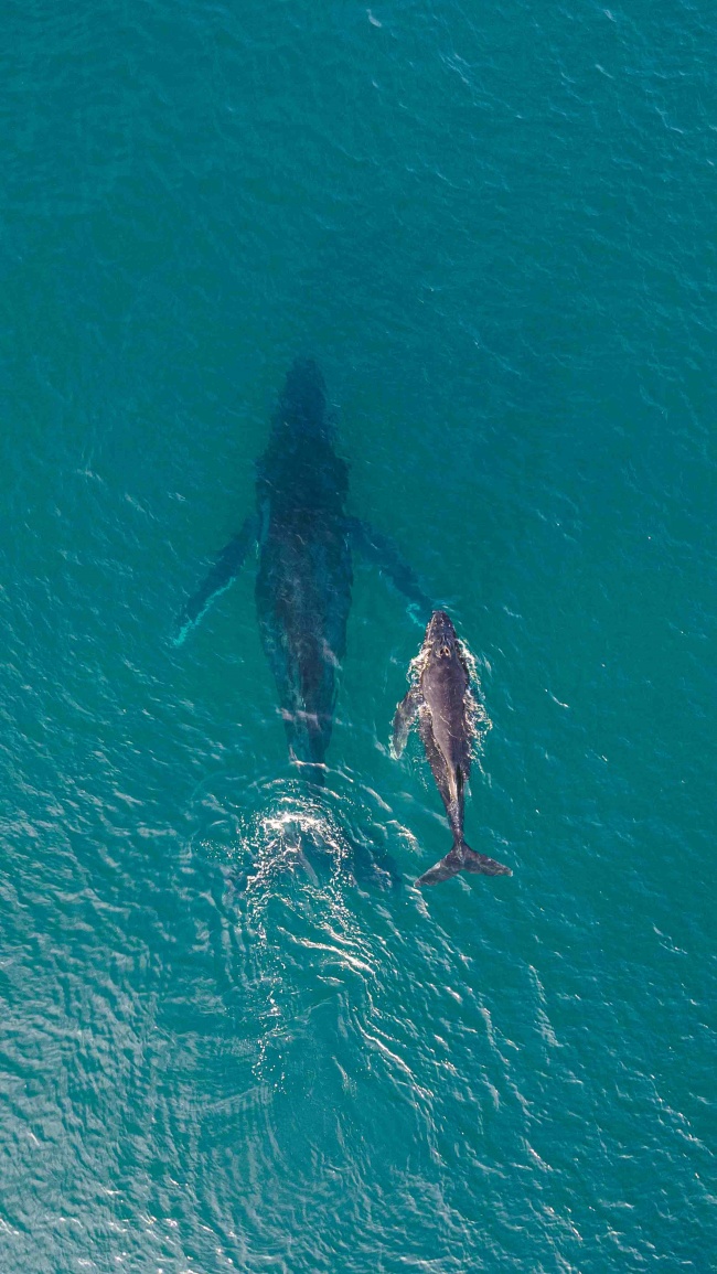 foto:CHARLY RAMOS - lo hecho en México