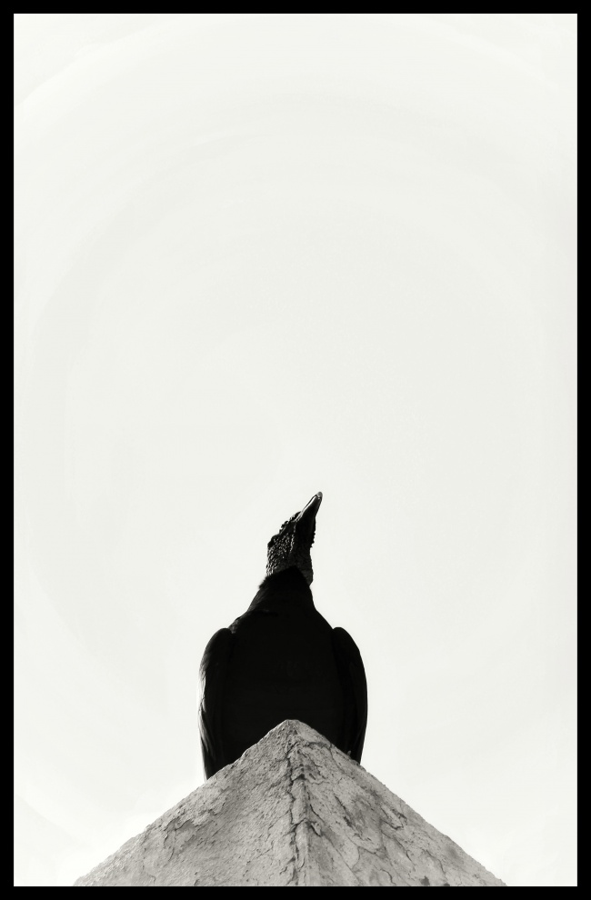 foto:Fabián Alejandro Guerrero Estrada  - lo hecho en México