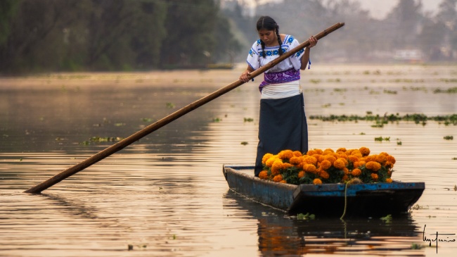 foto:Angel Tenorio  - lo hecho en México