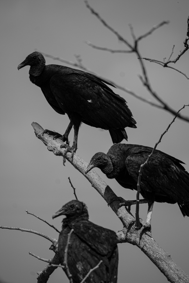 foto:Oscar Eduardo Pérez Jácome  - lo hecho en México