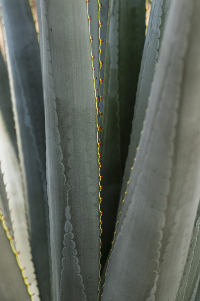 foto:Lizbeth Bojorges Barba - lo hecho en México