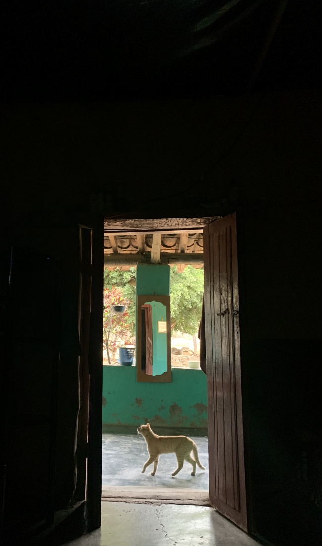 foto:Yeimi Ochoa Sanchez  - lo hecho en México