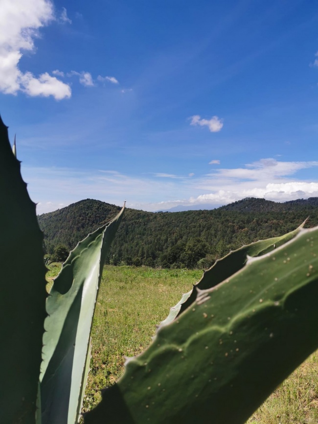 foto:Rogelio Sanchez Reyes  - lo hecho en México