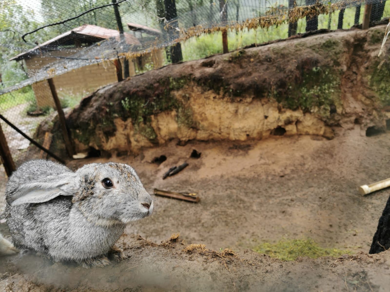 foto:Roberto Mendez Aguilar  - lo hecho en México