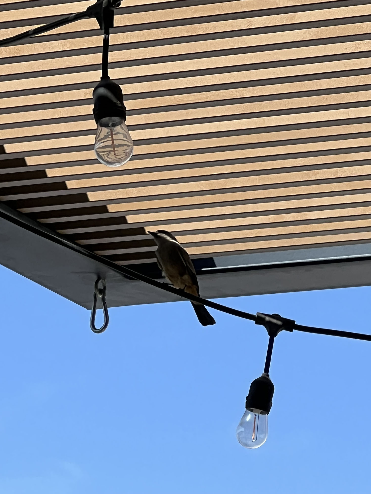 foto:Berenice Márquez Alonso  - lo hecho en México