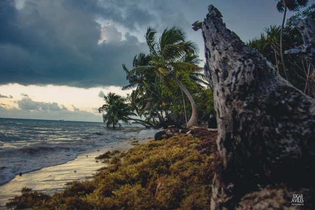 foto:edgar aviles  - lo hecho en México