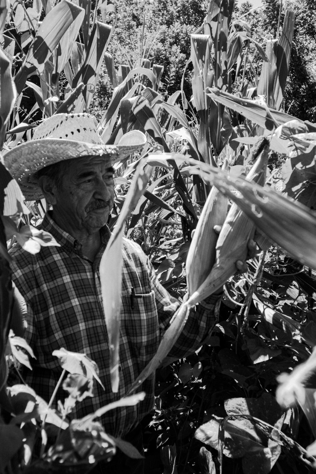 foto:Tamara Citlali Gallegos Pérez   - lo hecho en México