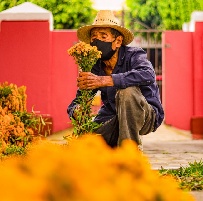 foto:Edgar Alvarado Nava  - lo hecho en México