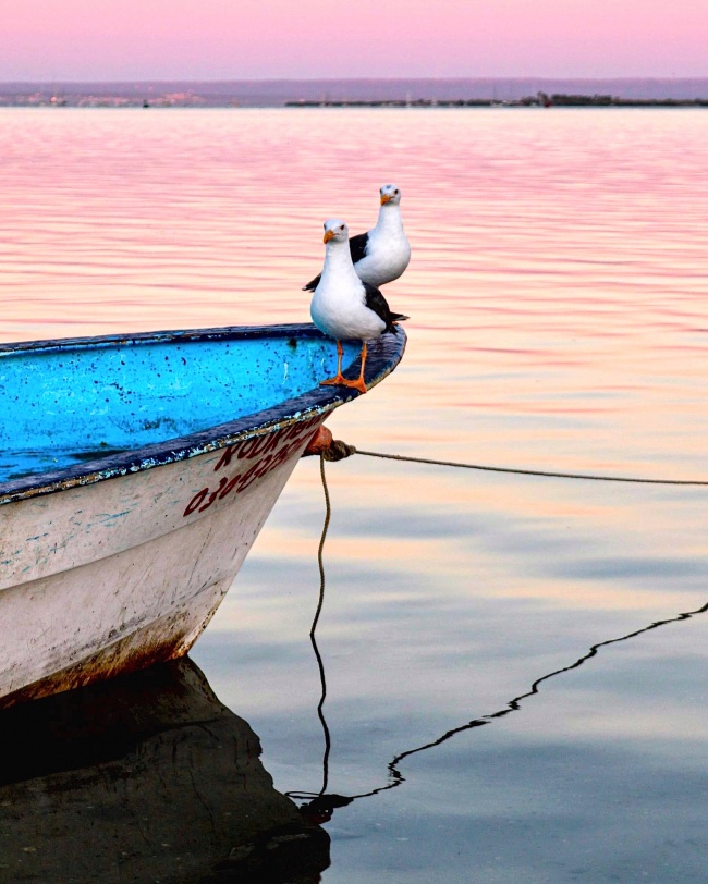foto:Martin Juan Carlos Cruz Arredondo - lo hecho en México