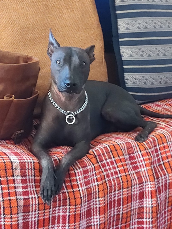 foto:Miguel Angel Pérez Acosta  - lo hecho en México