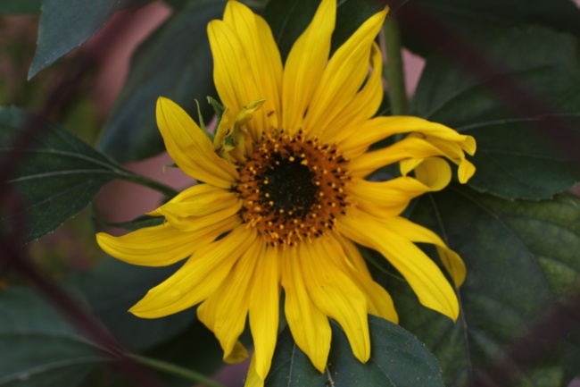 foto:Abraham Keller Eluani - lo hecho en México